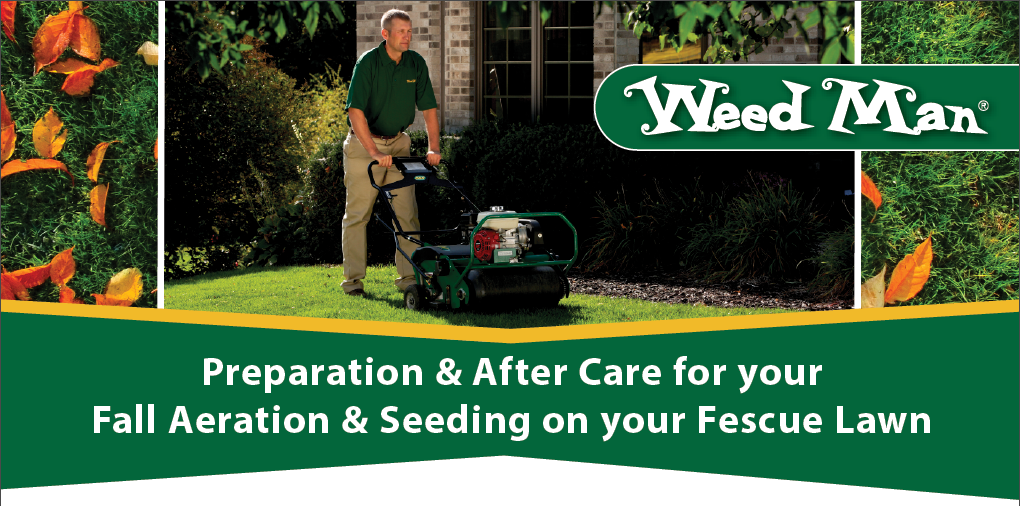 aeration prep and aftercare